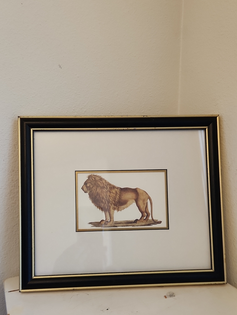 ♤ Framed Lion Print with Black & Gold Frame